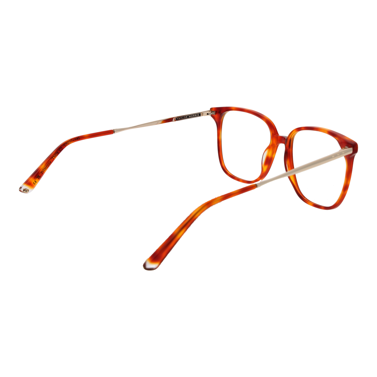 Orange/Demo glasses