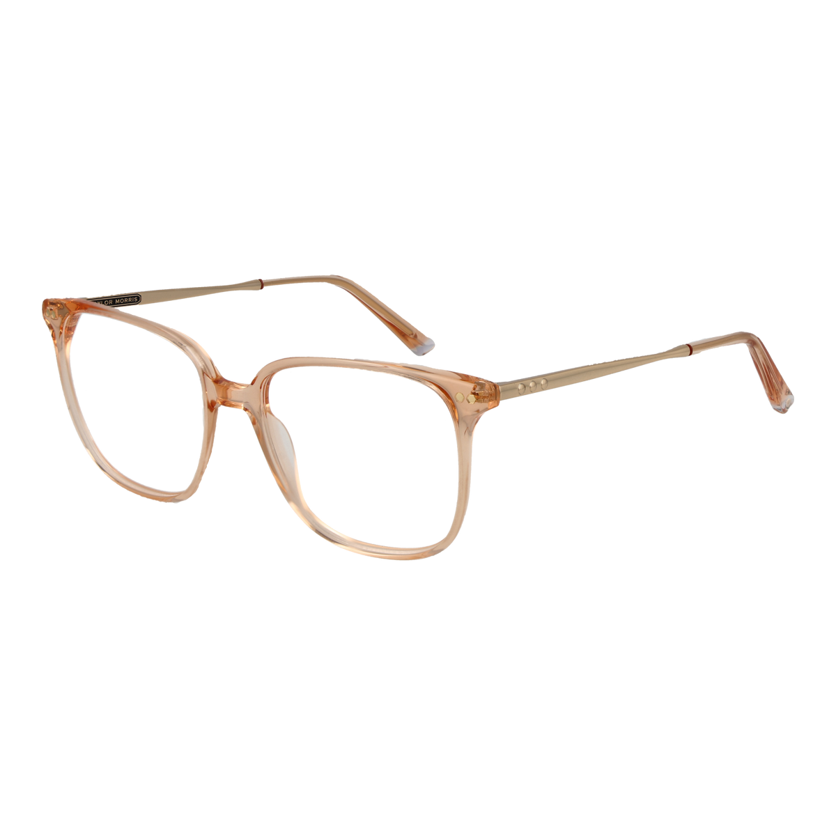 Orange/Demo glasses