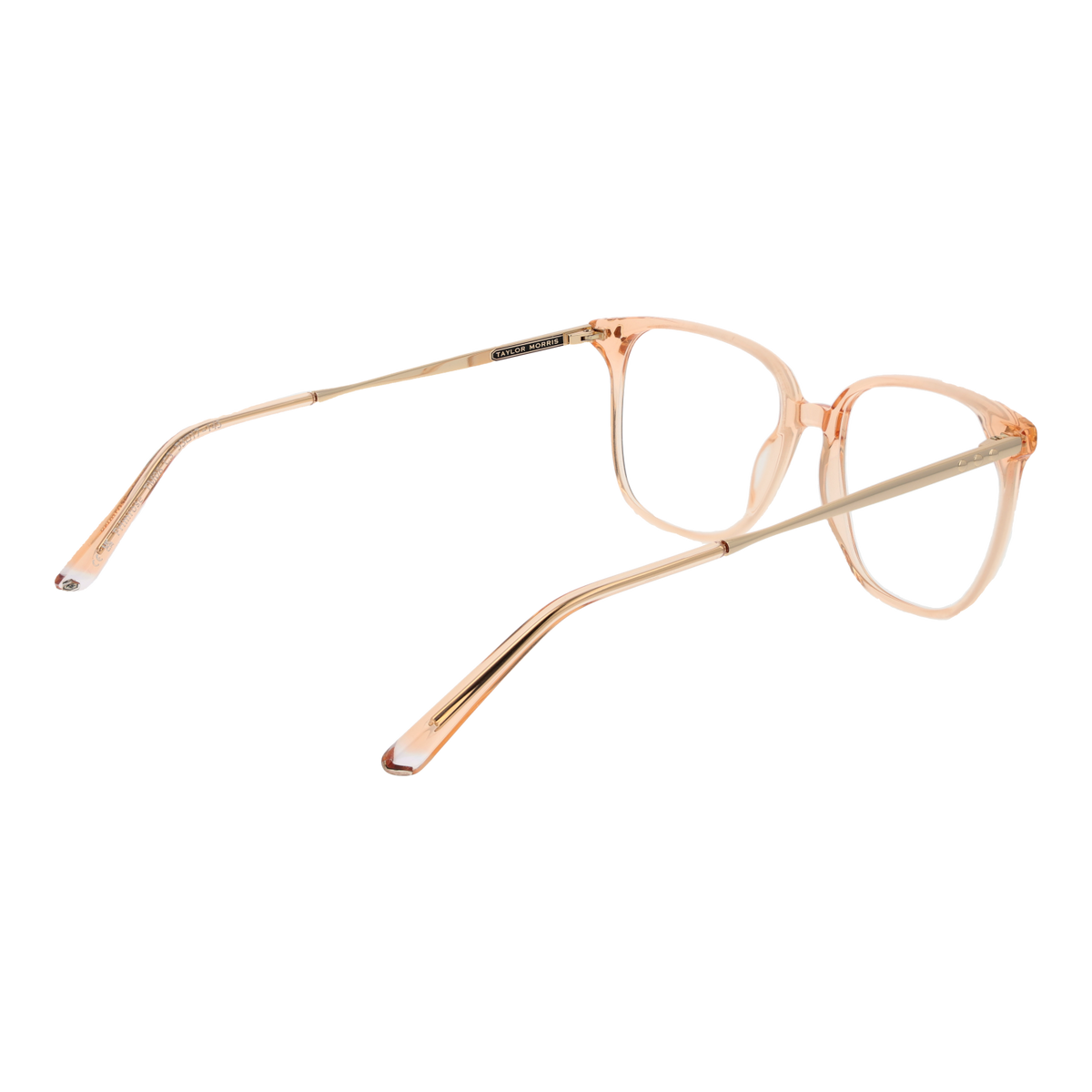 Orange/Demo glasses