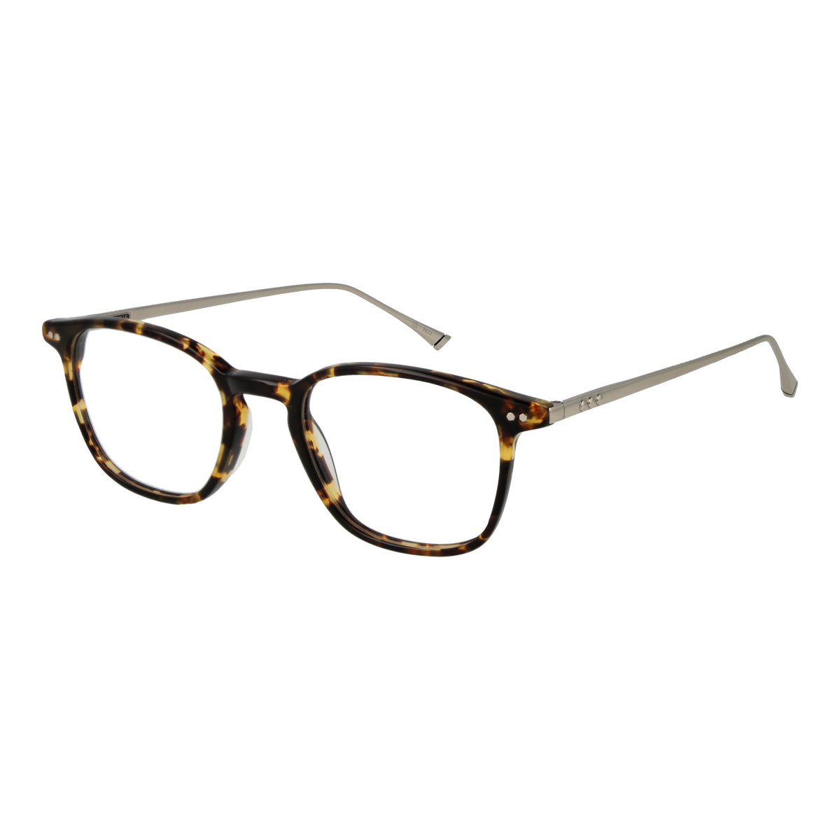 Brown/Demo glasses