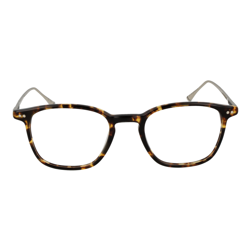 Brown/Demo glasses