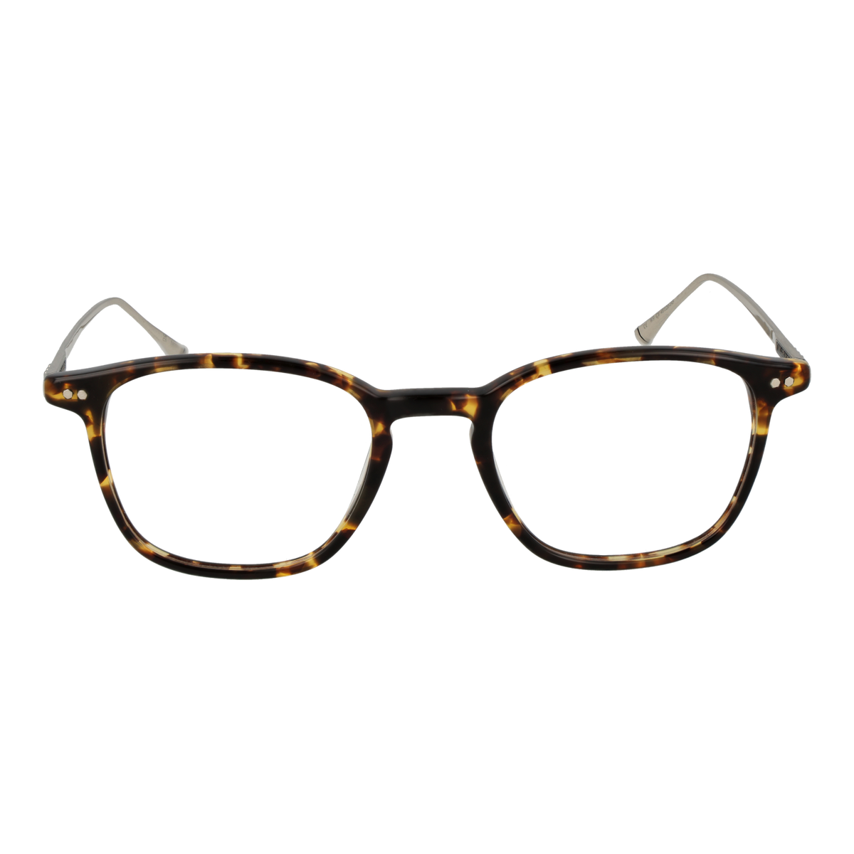Brown/Demo glasses