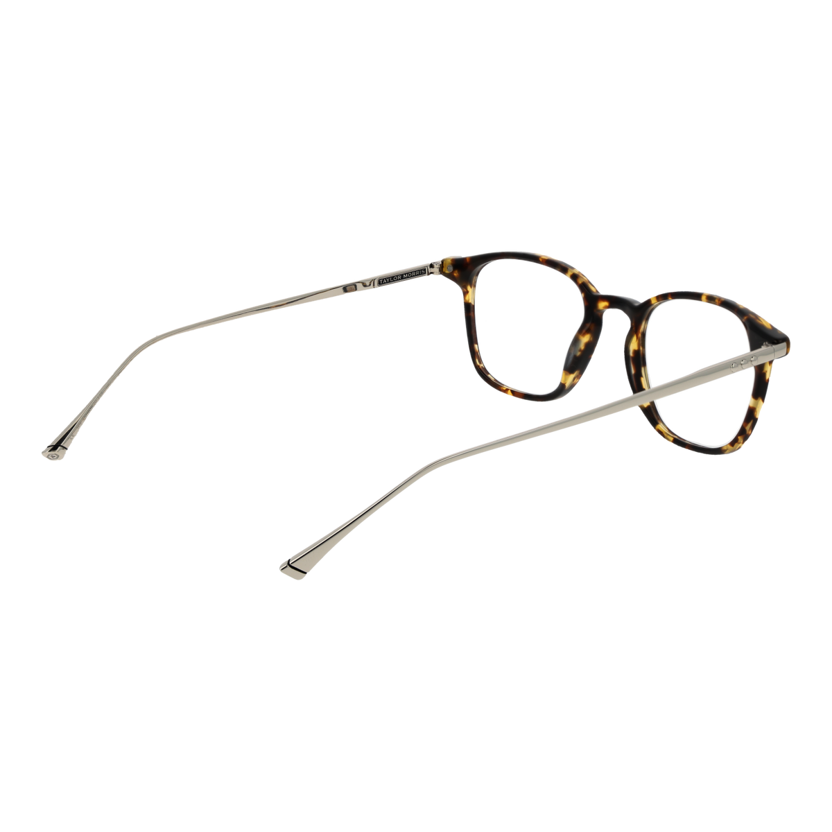 Brown/Demo glasses