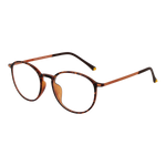 Brown/Demo glasses
