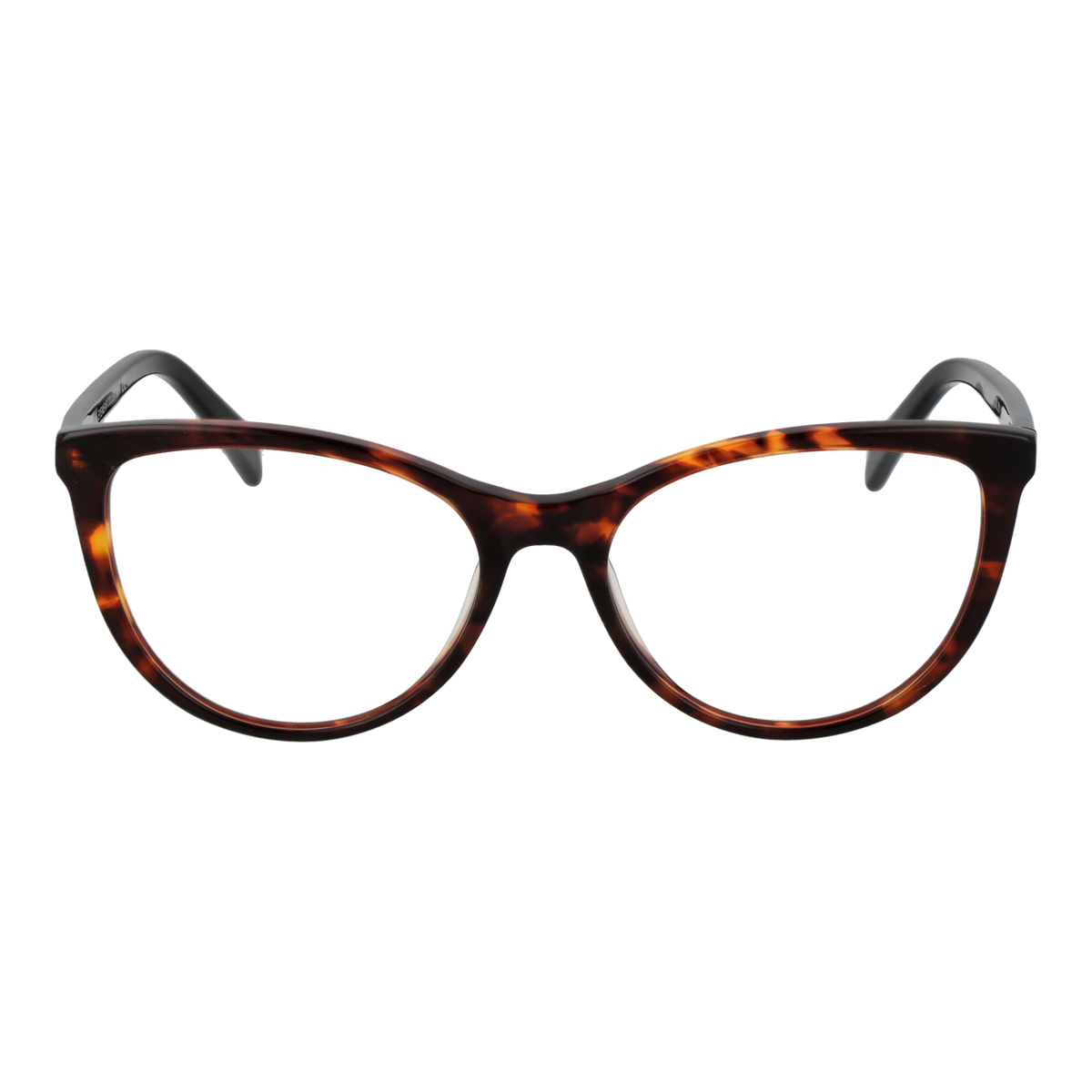 Brown/Demo glasses
