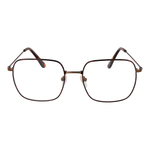 Brown/Demo glasses
