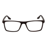 Brown/Demo glasses