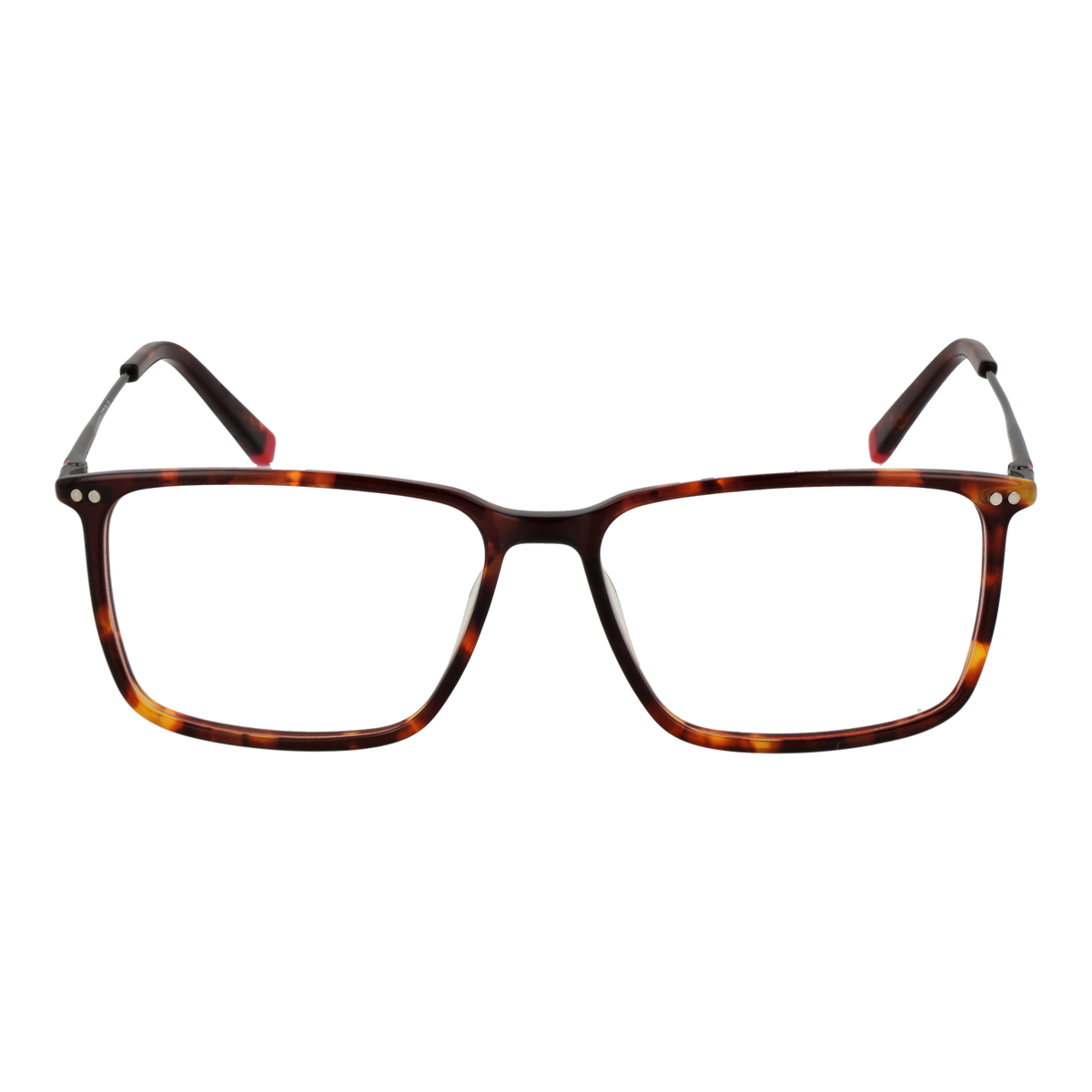 Brown/Demo glasses