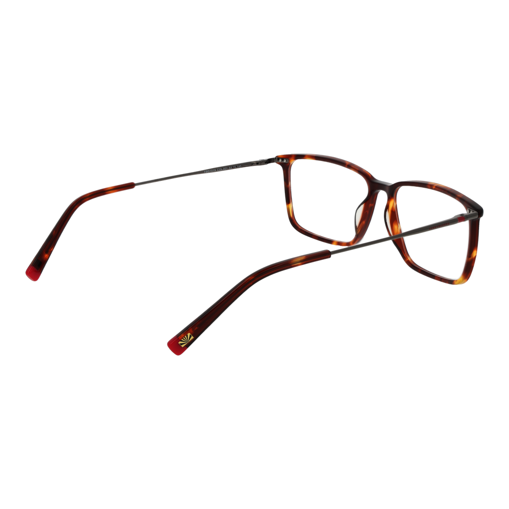 Brown/Demo glasses