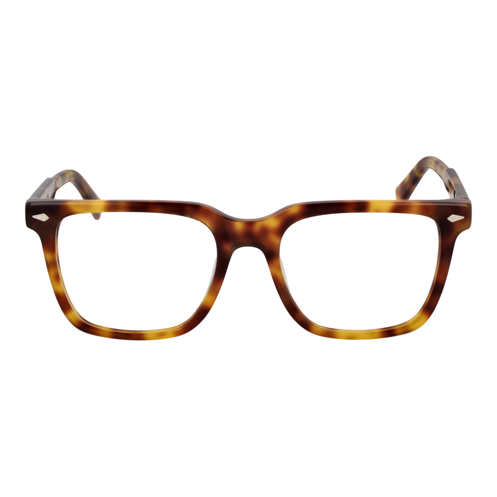 Brown/Demo glasses