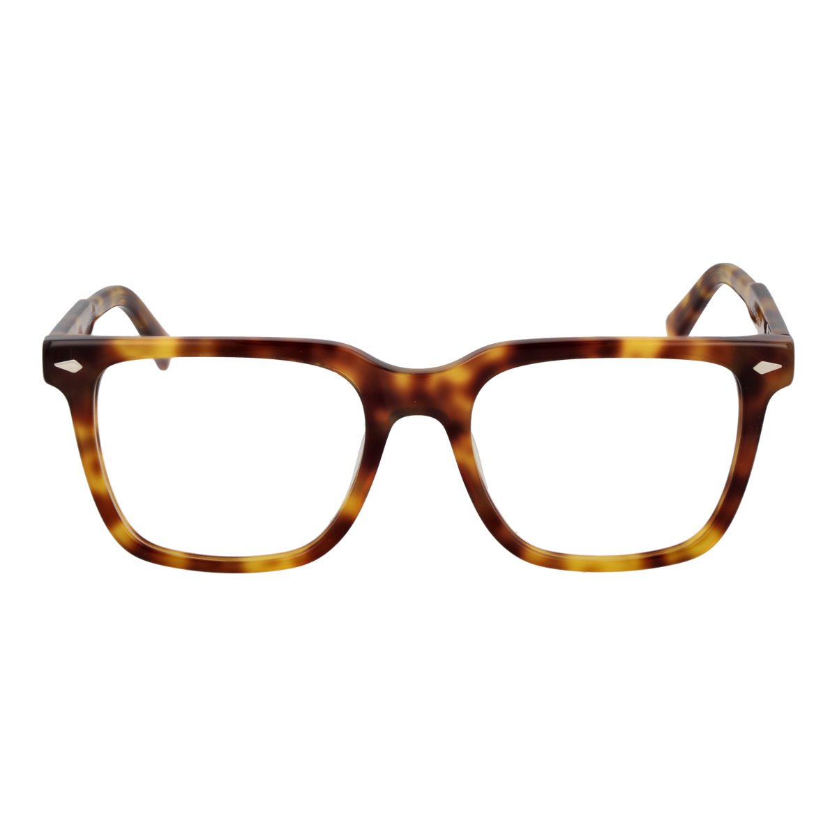 Brown/Demo glasses