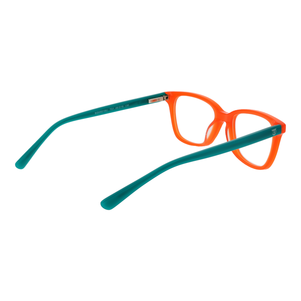 Orange/Demo glasses