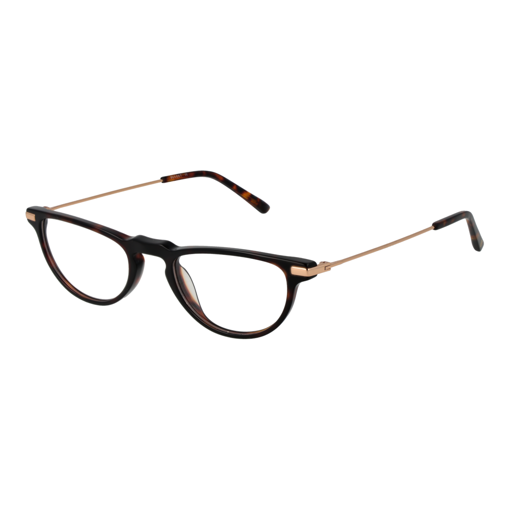 Brown/Demo glasses