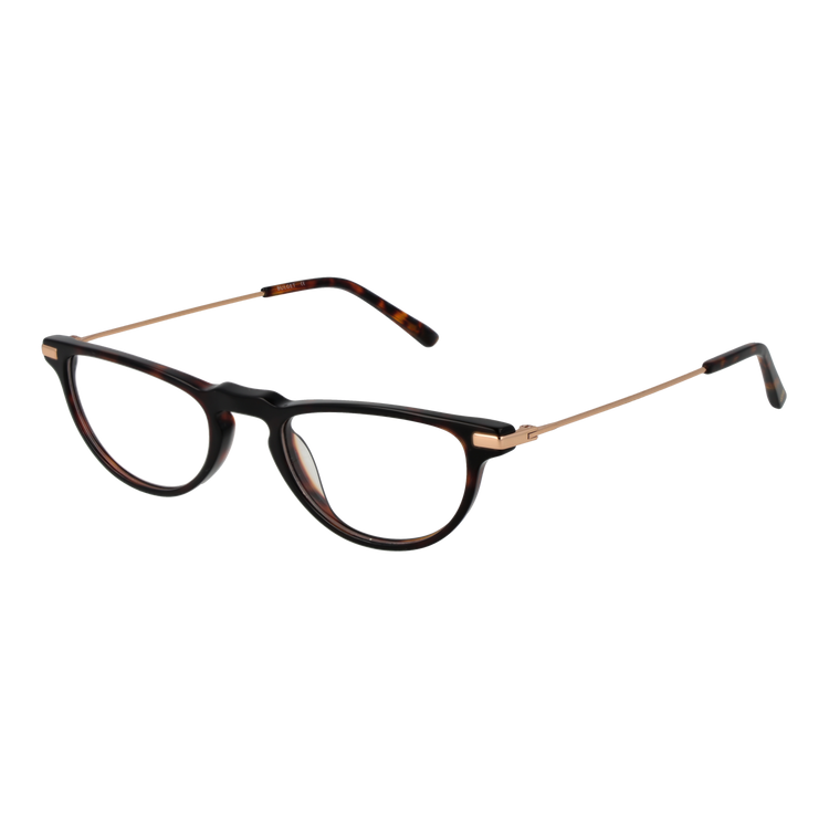 Brown/Demo glasses