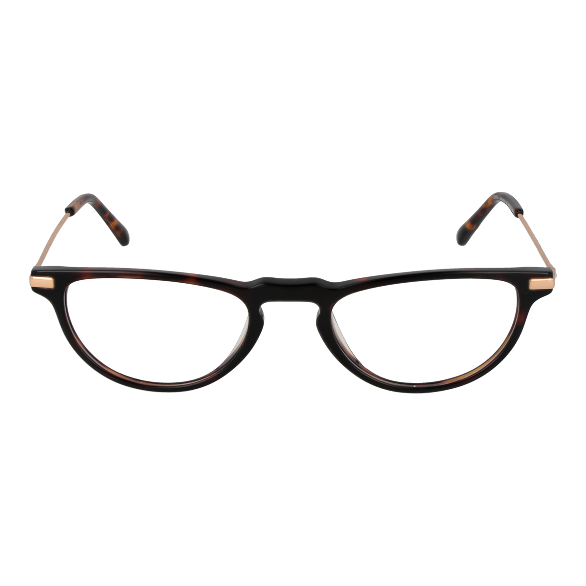 Brown/Demo glasses