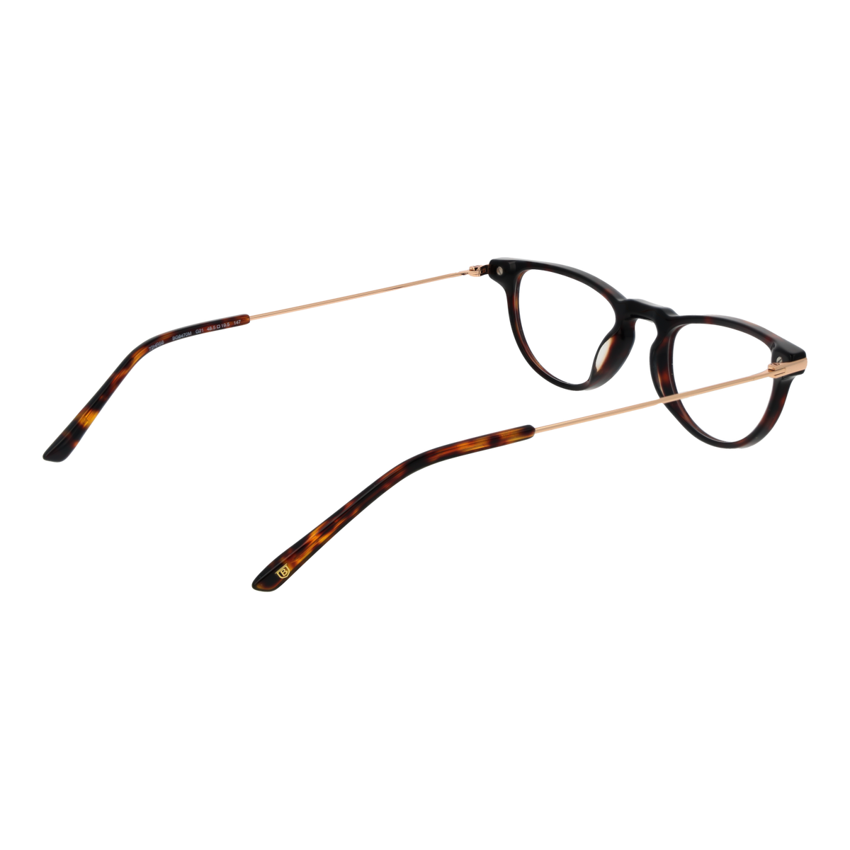 Brown/Demo glasses