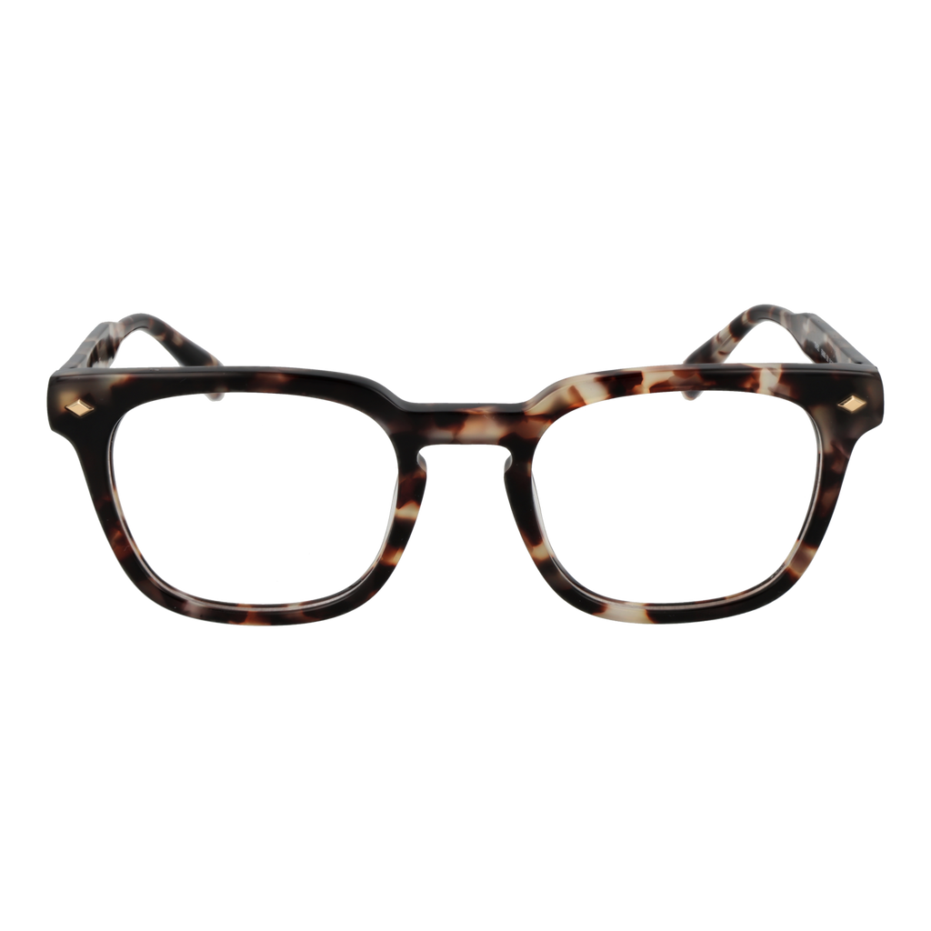 Brown/Demo glasses