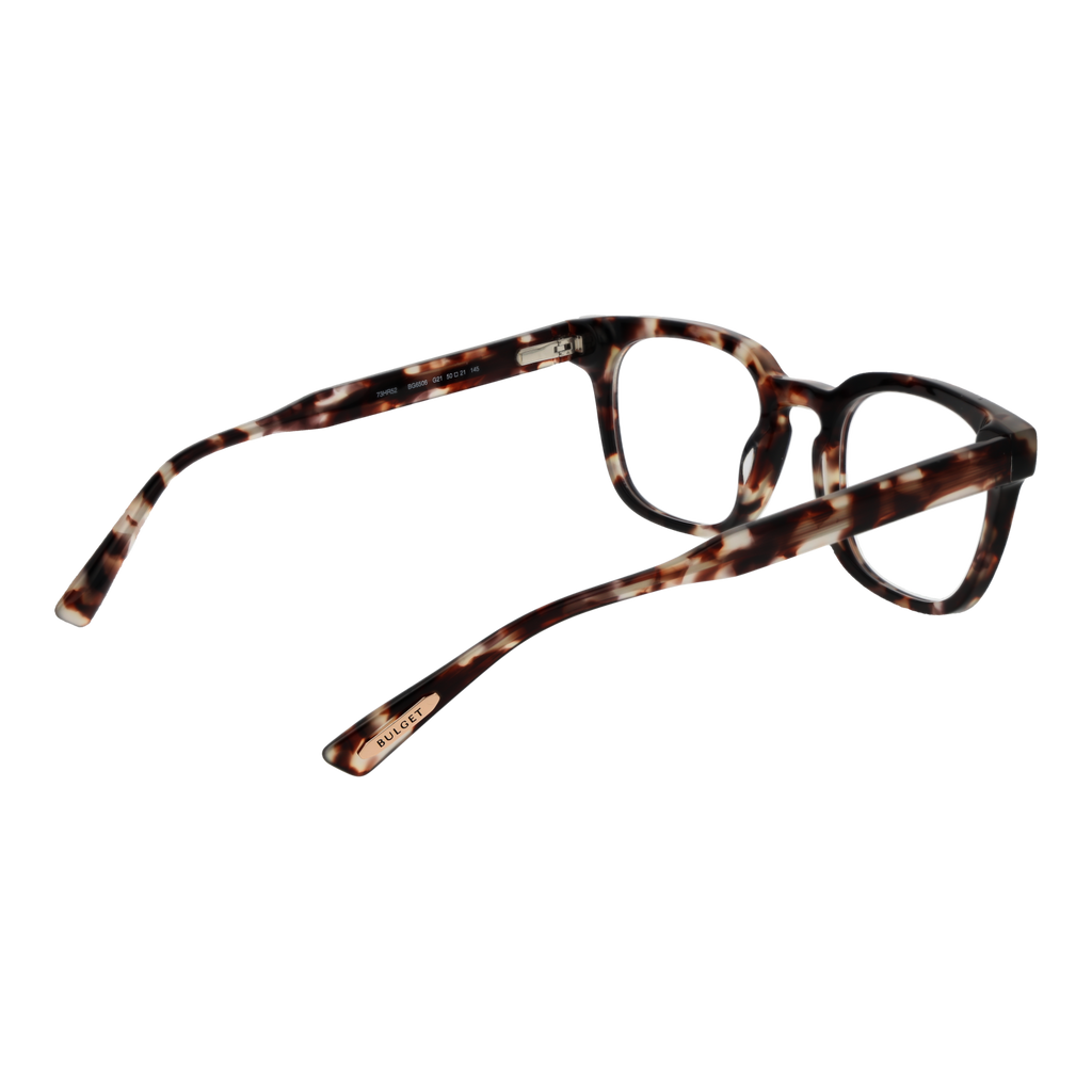 Brown/Demo glasses