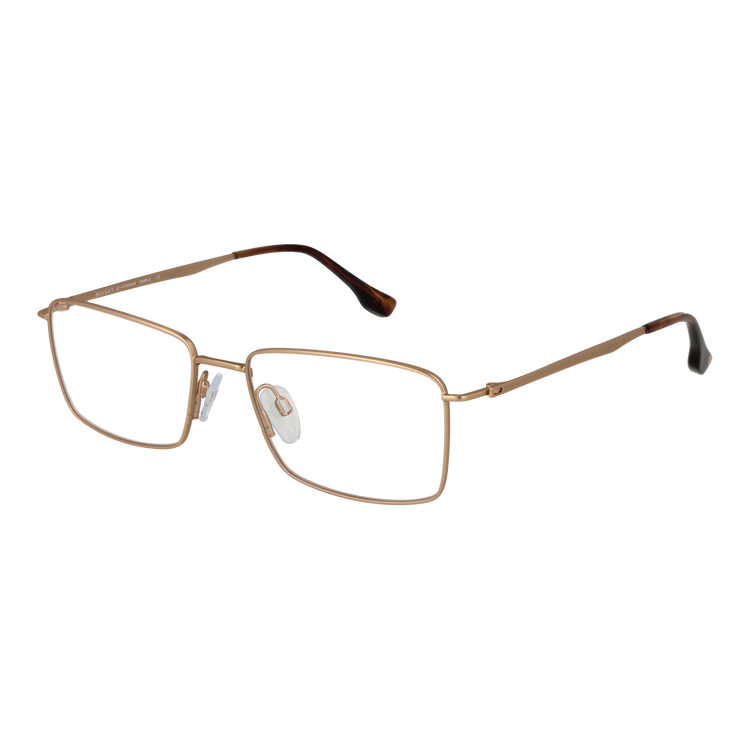 Gold/Demo glasses