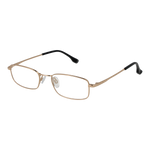 Gold/Demo glasses