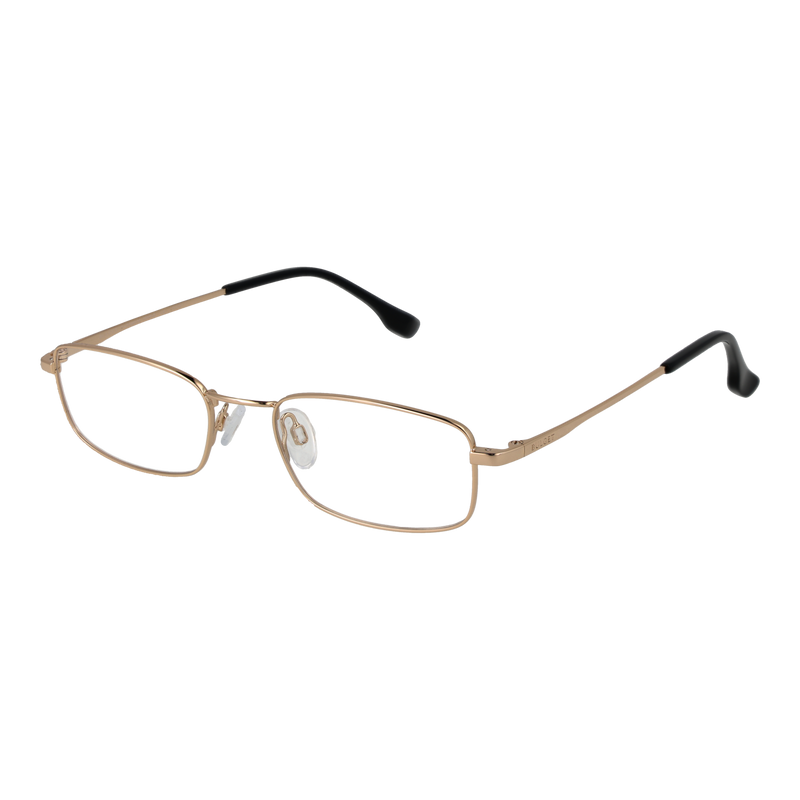 Gold/Demo glasses