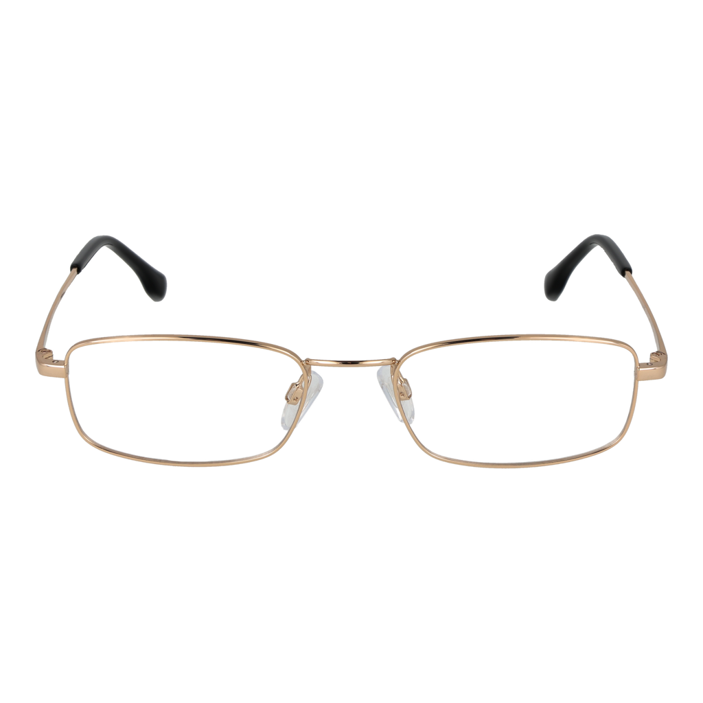 Gold/Demo glasses