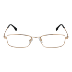 Gold/Demo glasses