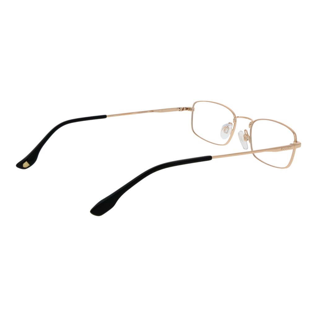 Gold/Demo glasses