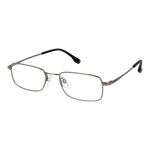 Silver/Demo glasses