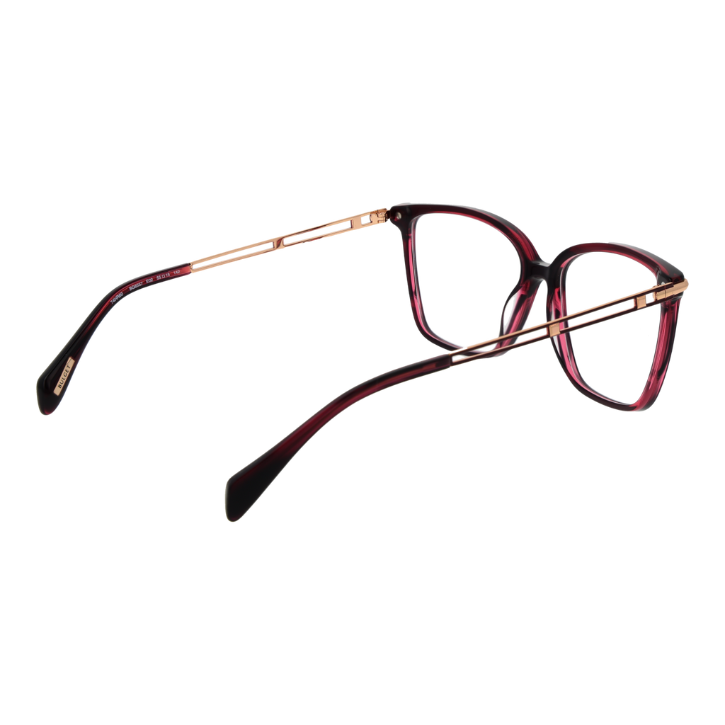 Burgundy/Demo glasses