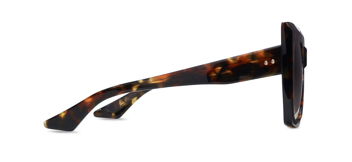 HAUTE TORTOISE / BROWN TO CLEAR