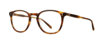 CN - Chestnut / 