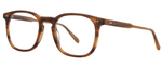 BIO BTO - Bio Blonde Tortoise / 