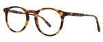 BIO SPT - Bio Spotted Tortoise / 