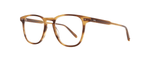 BIO BTO - Bio Blonde Tortoise / 