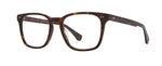 BIO MCOOT - Bio Matte Cookie Tortoise / 