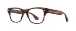 SPBRNSH - Spotted Brown Shell / 