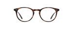 SPBRNSH - Spotted Brown Shell