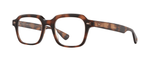 SPBRNSH - Spotted Brown Shell / 