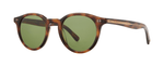 SPBRNSH/PGN - Spotted Brown Shell/Pure Green / 