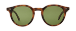 SPBRNSH/PGN - Spotted Brown Shell/Pure Green