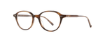SPBRNSH - Spotted Brown Shell / 
