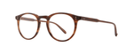 MBRT - Matte Brandy Tortoise/Cr39 Demo / 
