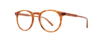 HBT - Honey Blonde Tortoise/Cr39 Demo