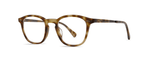 CALT-ATG - Calico Tortoise-Antique Gold / 