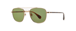 G-SPBRNSH/GRN - Gold-Spotted Brown Shell/Green / 
