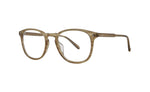 PAT - Palisade Tortoise / 
