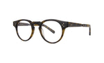 YJKT-ATG - Yellowjacket Tortoise-Antique Gold / 