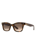 SPBRNSH/SEG - Spotted Brown Shell/Sepia Gradient / 