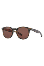 SPBRNSH/AU - Spotted Brown Shell/Auburn / 